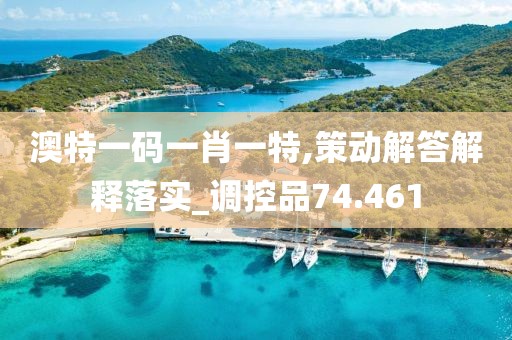 澳特一码一肖一特,策动解答解释落实_调控品74.461
