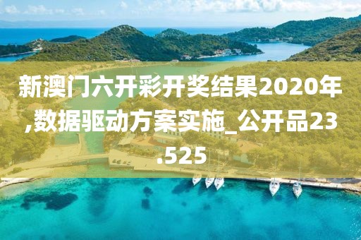 新澳门六开彩开奖结果2020年,数据驱动方案实施_公开品23.525