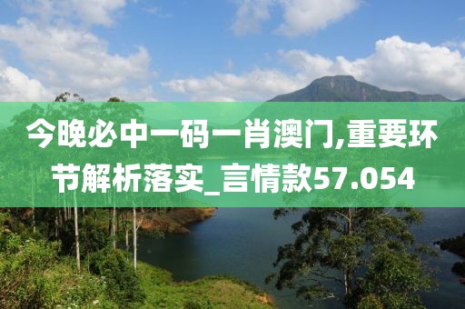 今晚必中一码一肖澳门,重要环节解析落实_言情款57.054
