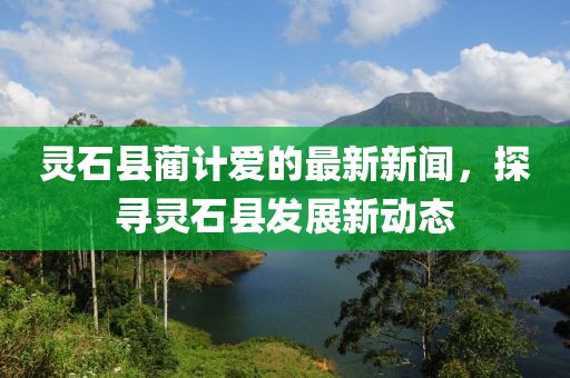 灵石县蔺计爱的最新新闻，探寻灵石县发展新动态