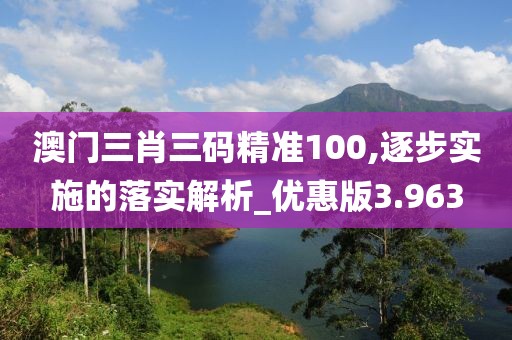 澳门三肖三码精准100,逐步实施的落实解析_优惠版3.963
