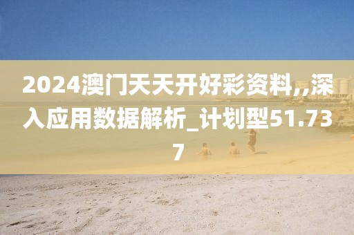 2024澳门天天开好彩资料,,深入应用数据解析_计划型51.737