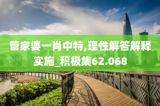 管家婆一肖中特,理性解答解释实施_积极集62.068