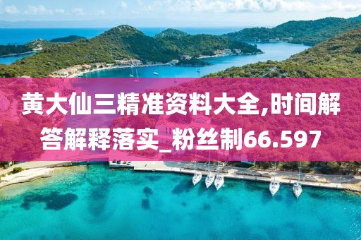黄大仙三精准资料大全,时间解答解释落实_粉丝制66.597