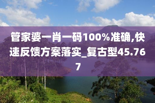 管家婆一肖一码100%准确,快速反馈方案落实_复古型45.767