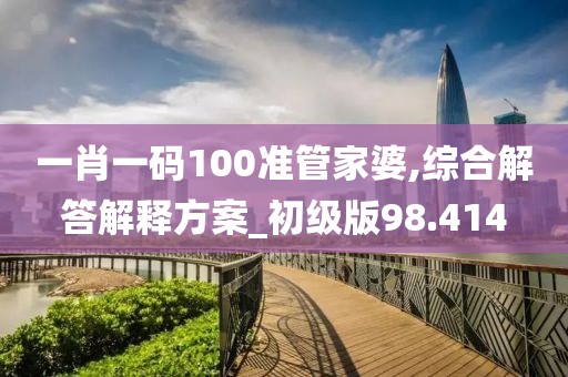 一肖一码100准管家婆,综合解答解释方案_初级版98.414
