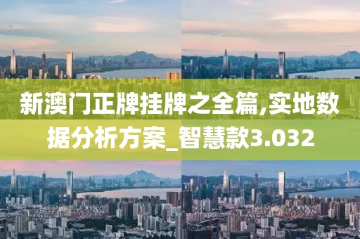 新澳门正牌挂牌之全篇,实地数据分析方案_智慧款3.032