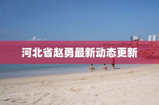 河北省赵勇最新动态更新