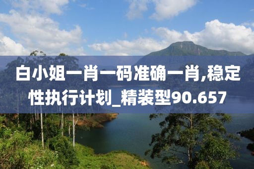 白小姐一肖一码准确一肖,稳定性执行计划_精装型90.657