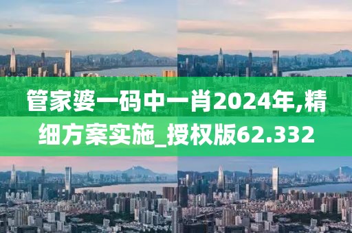 管家婆一码中一肖2024年,精细方案实施_授权版62.332