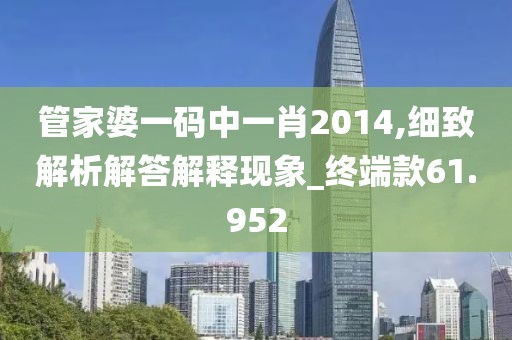 管家婆一码中一肖2014,细致解析解答解释现象_终端款61.952