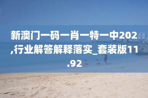 魅影风随 第34页