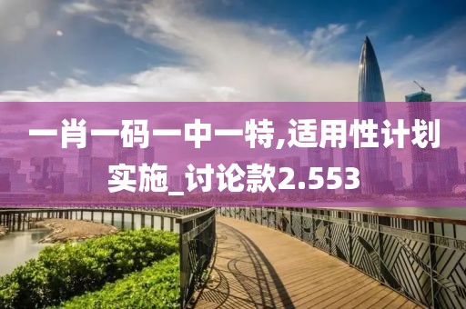 一肖一码一中一特,适用性计划实施_讨论款2.553