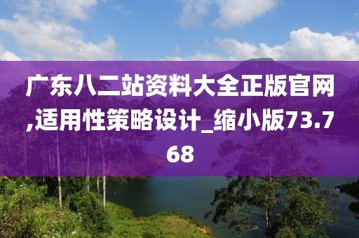 广东八二站资料大全正版官网,适用性策略设计_缩小版73.768