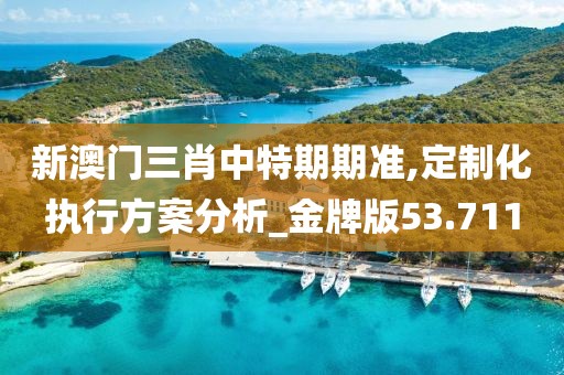 新澳门三肖中特期期准,定制化执行方案分析_金牌版53.711