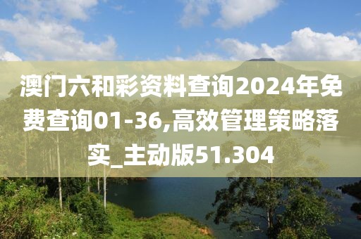 澳门六和彩资料查询2024年免费查询01-36,高效管理策略落实_主动版51.304