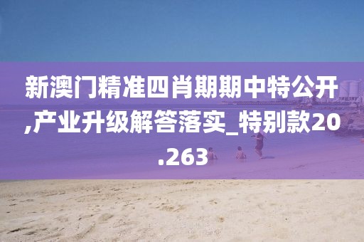 新澳门精准四肖期期中特公开,产业升级解答落实_特别款20.263