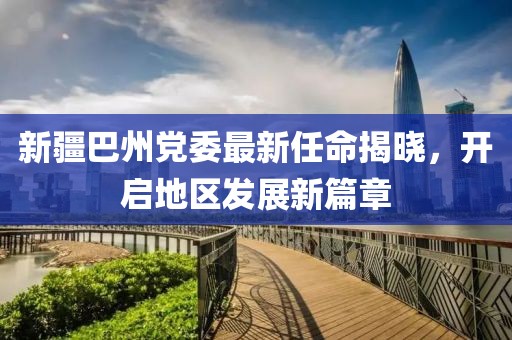 新疆巴州党委最新任命揭晓，开启地区发展新篇章