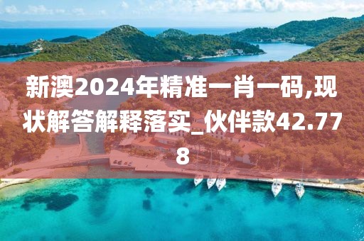 新澳2024年精准一肖一码,现状解答解释落实_伙伴款42.778