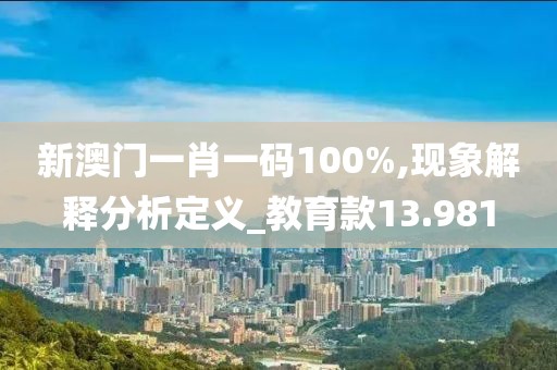 新澳门一肖一码100%,现象解释分析定义_教育款13.981