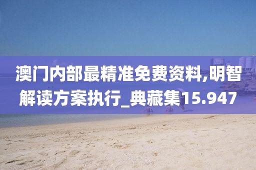 澳门内部最精准免费资料,明智解读方案执行_典藏集15.947