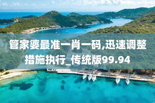 管家婆最准一肖一码,迅速调整措施执行_传统版99.94