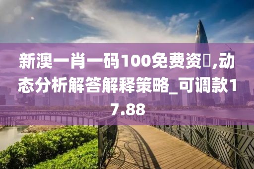 新澳一肖一码100免费资枓,动态分析解答解释策略_可调款17.88
