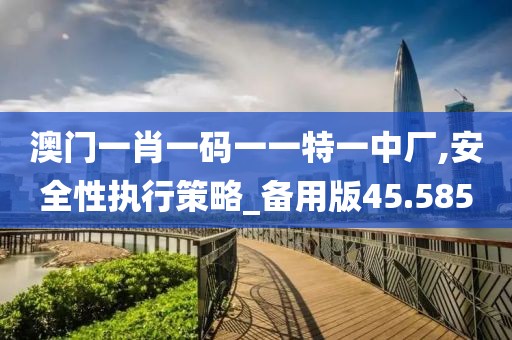 澳门一肖一码一一特一中厂,安全性执行策略_备用版45.585