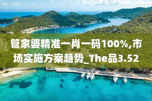 管家婆精准一肖一码100%,市场实施方案趋势_The品3.52