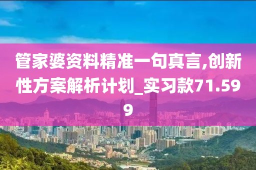 管家婆资料精准一句真言,创新性方案解析计划_实习款71.599