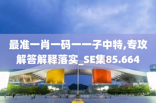 最准一肖一码一一子中特,专攻解答解释落实_SE集85.664