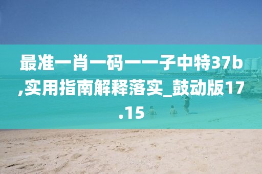 最准一肖一码一一子中特37b,实用指南解释落实_鼓动版17.15