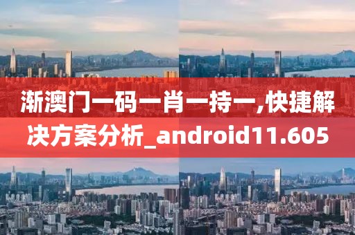渐澳门一码一肖一持一,快捷解决方案分析_android11.605