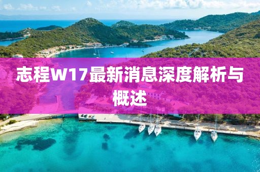 志程W17最新消息深度解析与概述