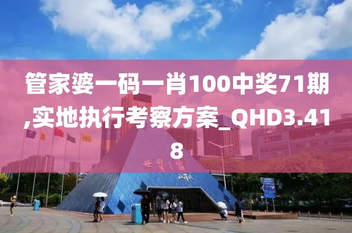 管家婆一码一肖100中奖71期,实地执行考察方案_QHD3.418