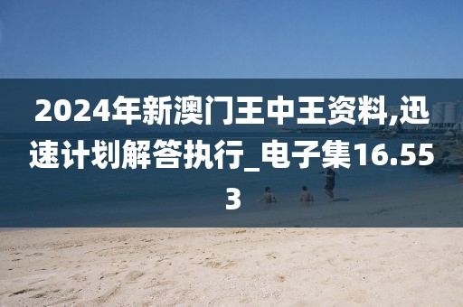 2024年新澳门王中王资料,迅速计划解答执行_电子集16.553