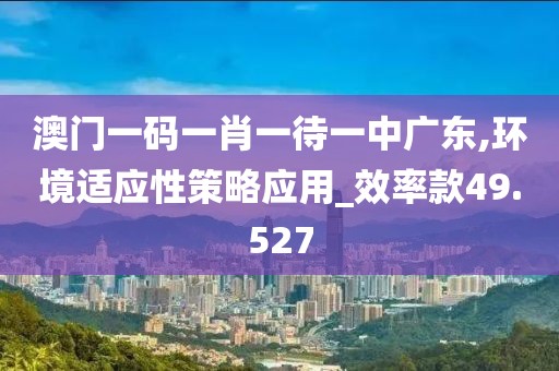 澳门一码一肖一待一中广东,环境适应性策略应用_效率款49.527