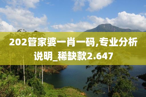 202管家婆一肖一码,专业分析说明_稀缺款2.647
