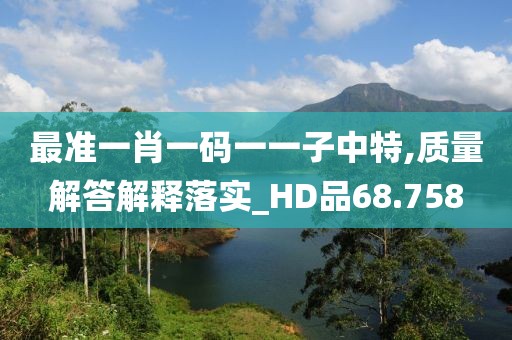 最准一肖一码一一子中特,质量解答解释落实_HD品68.758