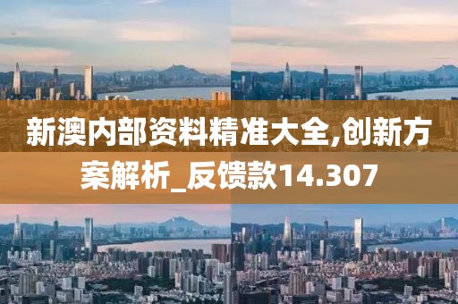 新澳内部资料精准大全,创新方案解析_反馈款14.307