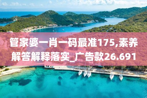 管家婆一肖一码最准175,素养解答解释落实_广告款26.691
