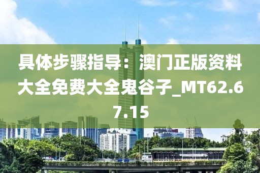具体步骤指导：澳门正版资料大全免费大全鬼谷子_MT62.67.15