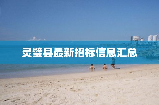 灵璧县最新招标信息汇总