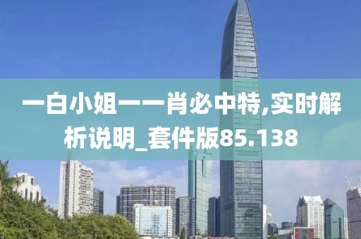 一白小姐一一肖必中特,实时解析说明_套件版85.138