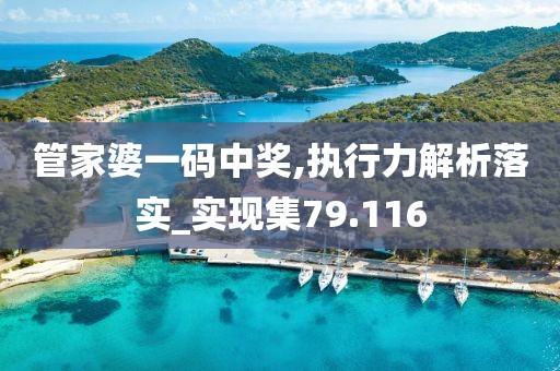 管家婆一码中奖,执行力解析落实_实现集79.116