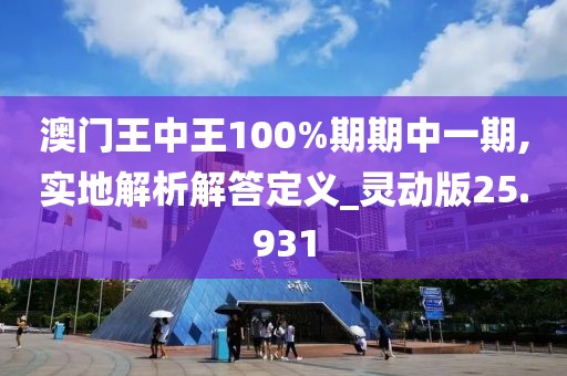 澳门王中王100%期期中一期,实地解析解答定义_灵动版25.931