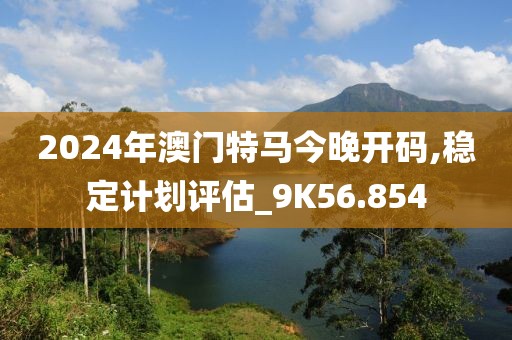 2024年澳门特马今晚开码,稳定计划评估_9K56.854