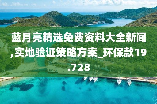 蓝月亮精选免费资料大全新闻,实地验证策略方案_环保款19.728