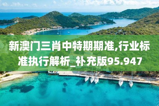 新澳门三肖中特期期准,行业标准执行解析_补充版95.947