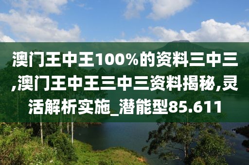 澳门王中王100%的资料三中三,澳门王中王三中三资料揭秘,灵活解析实施_潜能型85.611